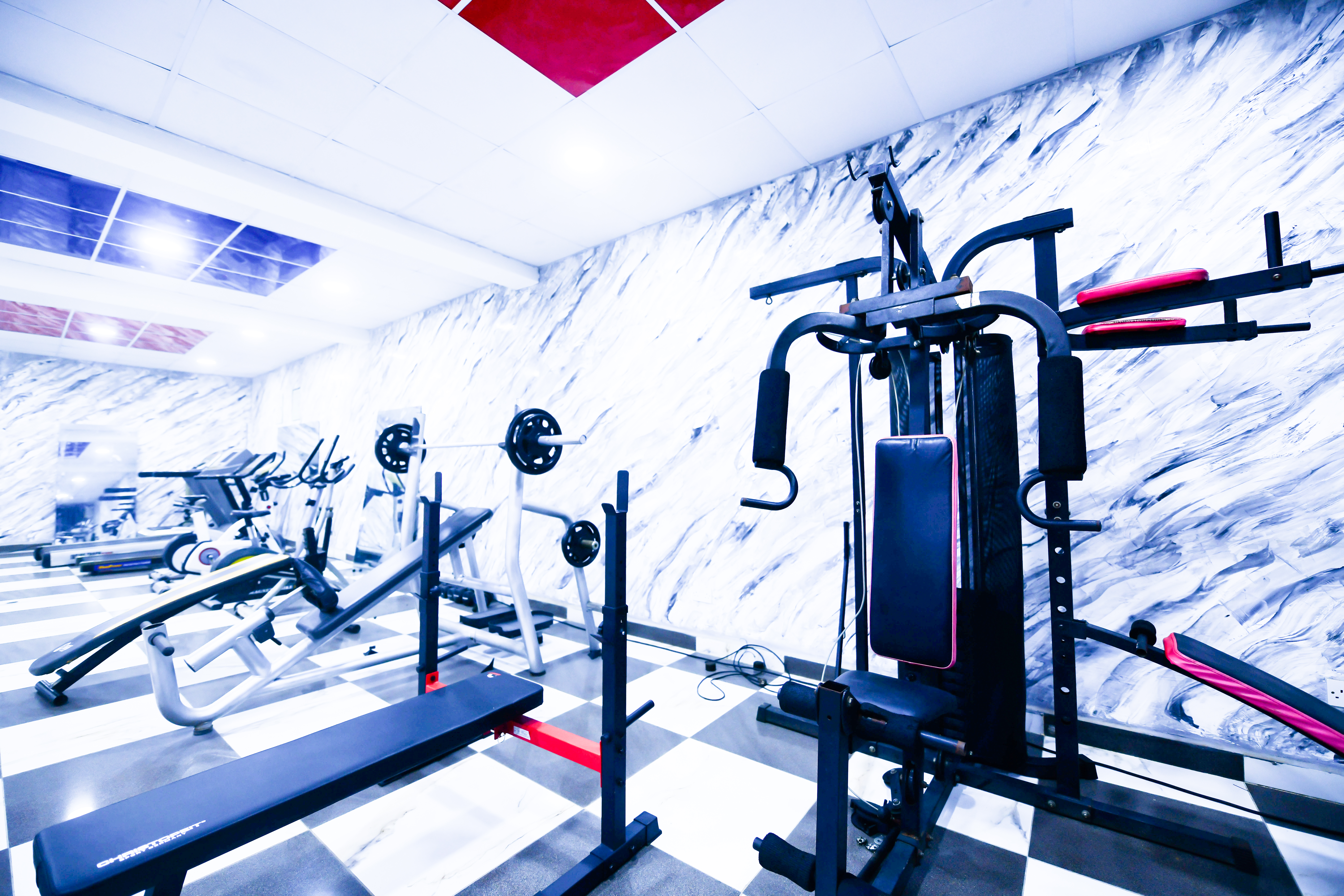 Portrait by Jessica Felicio